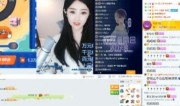 彩虹夫妇被爆料视频,真相与争议交织