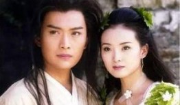 沈浪老婆最新爆料,揭秘明星夫妻背后的真相