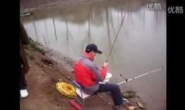 爆料钓鱼被打怎么办视频,勇敢维权，法律助力守护正义